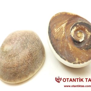 Yılancık Taşı