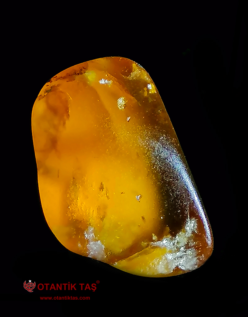 Şampanya Topaz